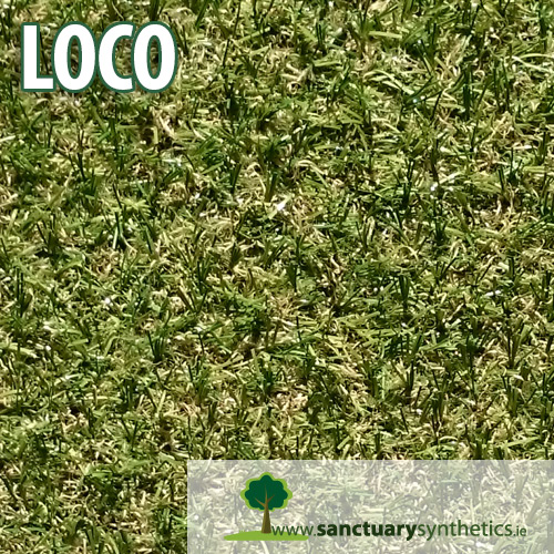 Sanctuary Loco Artificial Grass